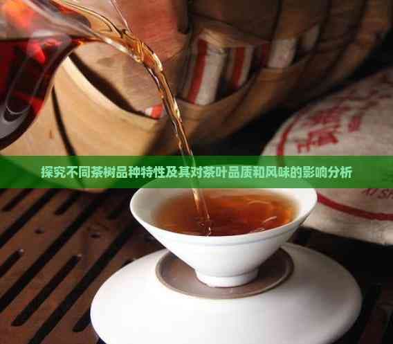 探究不同茶树品种特性及其对茶叶品质和风味的影响分析