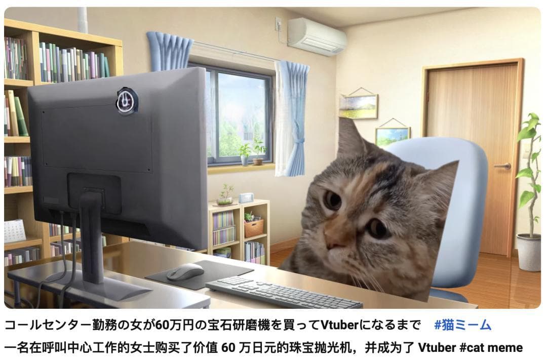 这届年轻人，正在用小猫演绎自己的精神状态