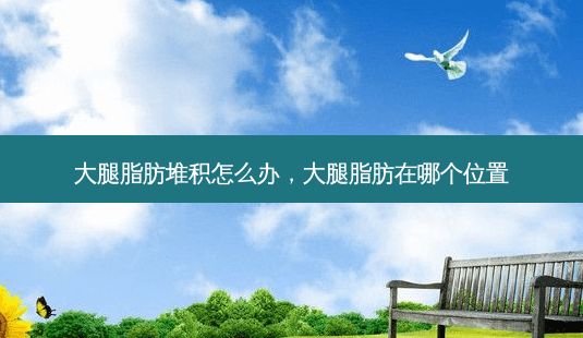 大腿脂肪堆积怎么办，大腿脂肪在哪个位置