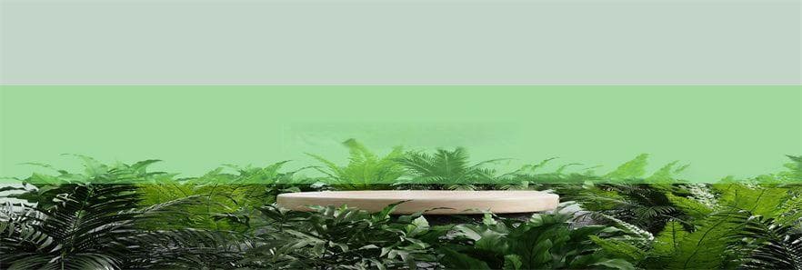 清洗水果设备的发展历程