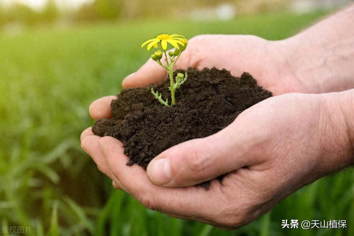 如何用肥料才能减少对环境的污染