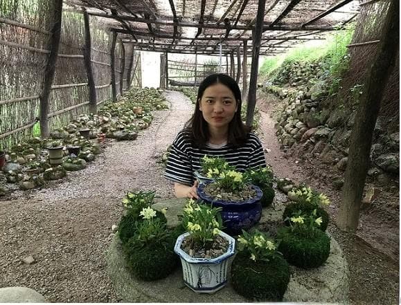 霍山石斛的特点、种植方法及功效作用