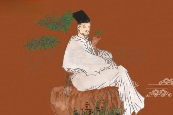 葛花与葛根的区别有哪些？两者有这些不同之处