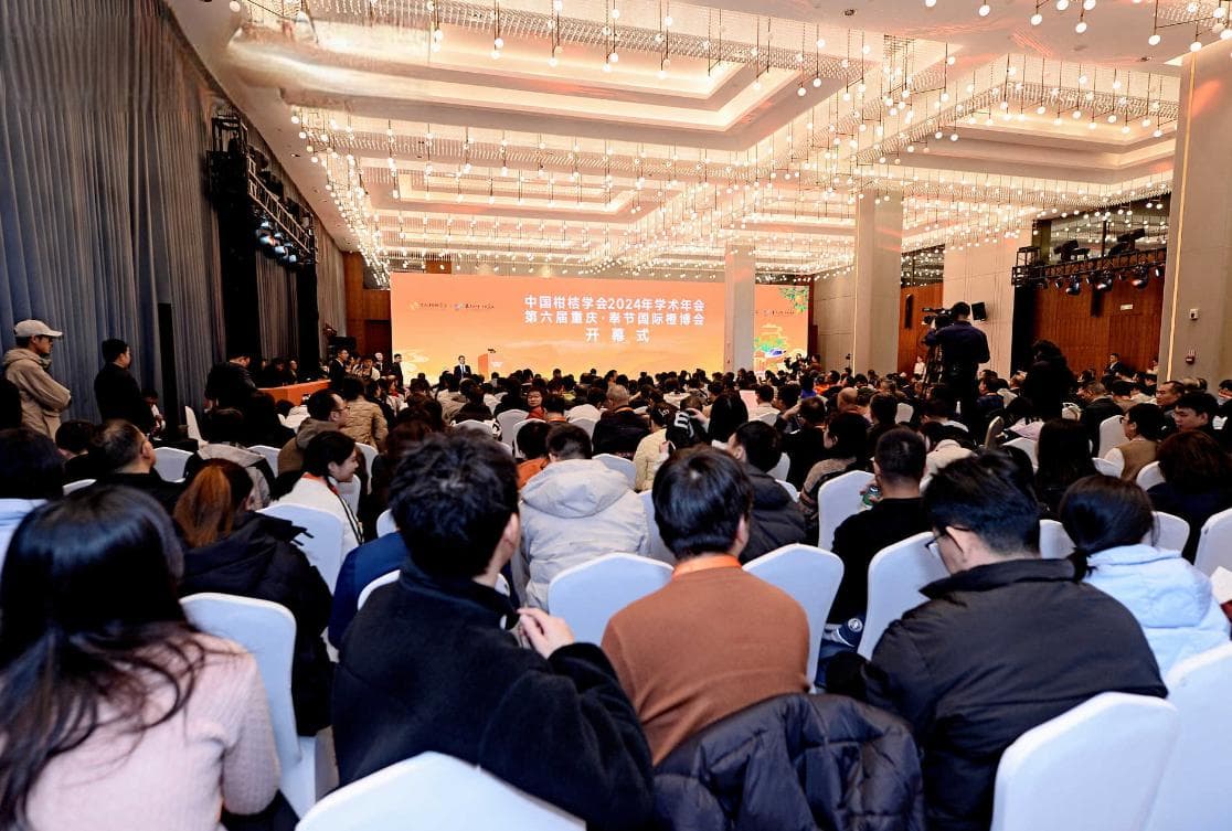 从“中国橙都”到全球市场：看奉节脐橙的品牌跃迁与创新探索