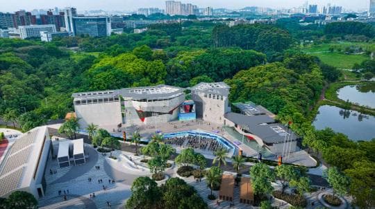 新时代全运 新征程广州 | 体育强国全运奏强音