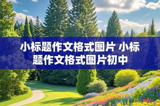 小标题作文格式图片：提升文章可读性和吸引力的两大法宝