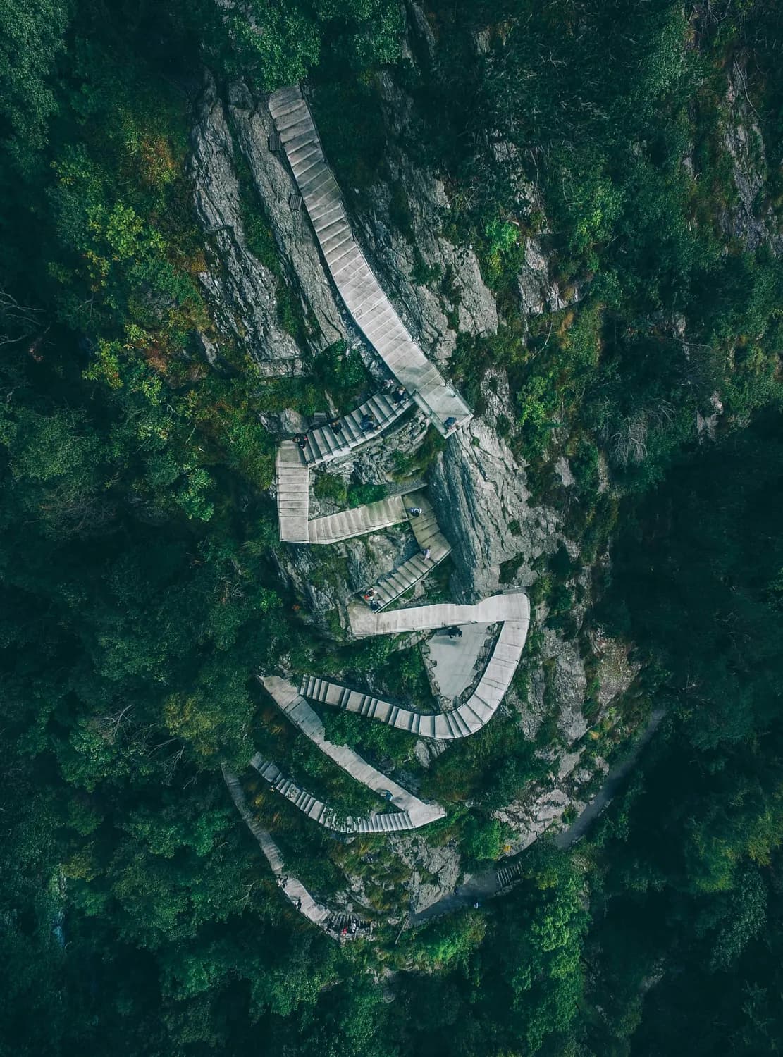 厦门园林植物园新南门：山海云梯串起九个观景平台