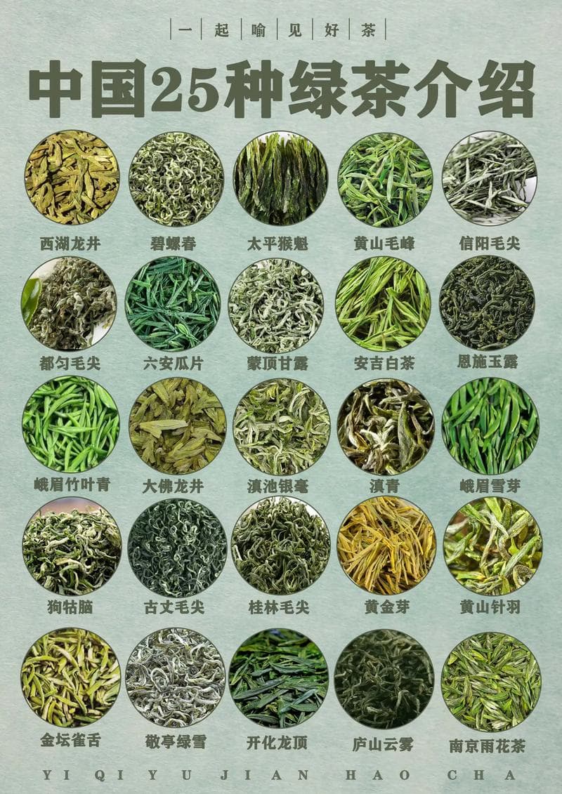 绿茶的种类及其独特魅力