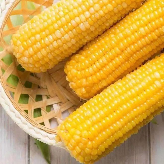 玉米是碱性还是酸性食物？