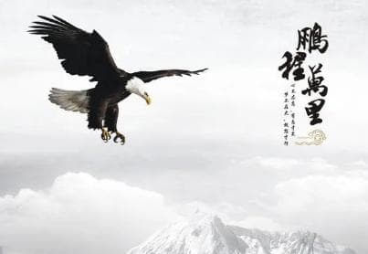 成语“鹏程万里”是什么意思？这个成语来源于哪个故事？