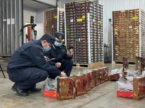 车厘子和樱桃究竟是什么关系，凭什么卖那么贵啊！