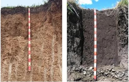 地表基质调查：黑土地退化科学治理新视角