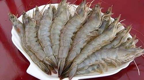 虾过敏一般几个小时会好