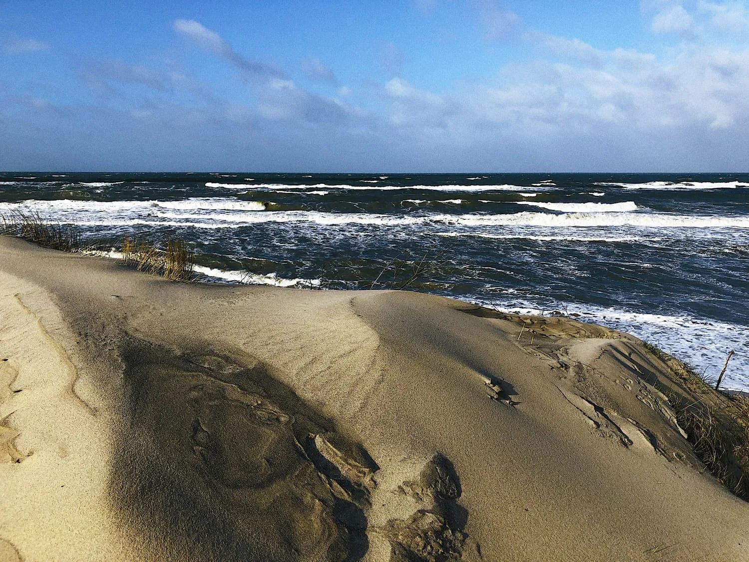 豆瓣9.3分，《我们赶海去》带你认识海洋生物