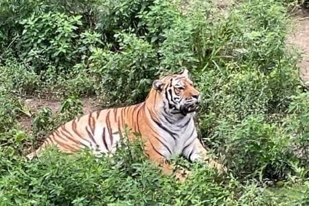 长春市动植物公园：一座集观赏、科普、休闲于一体的AAAA级景区
