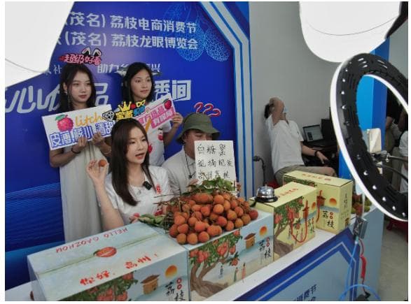 广东实施“百千万工程”一年：区域品牌带动县域经济增效超40%