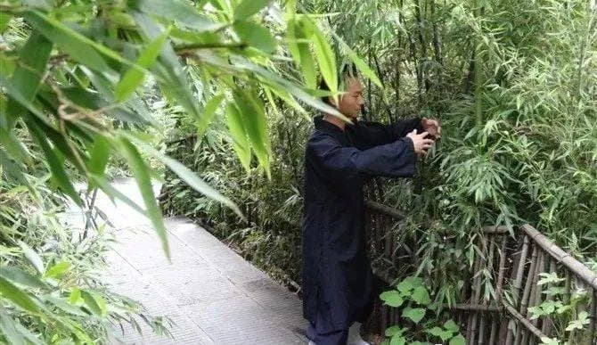 大道至简：站桩的神奇功效与练习要领