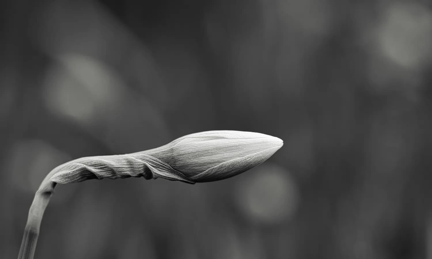 《舌尖上的中国》教你挑好食材：韭菜、鸡蛋和虾仁