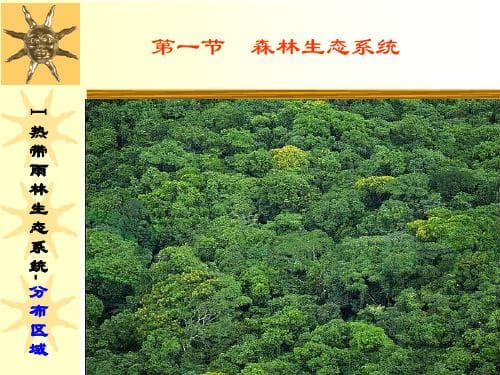 地球上生态系统的主要类型及其分布