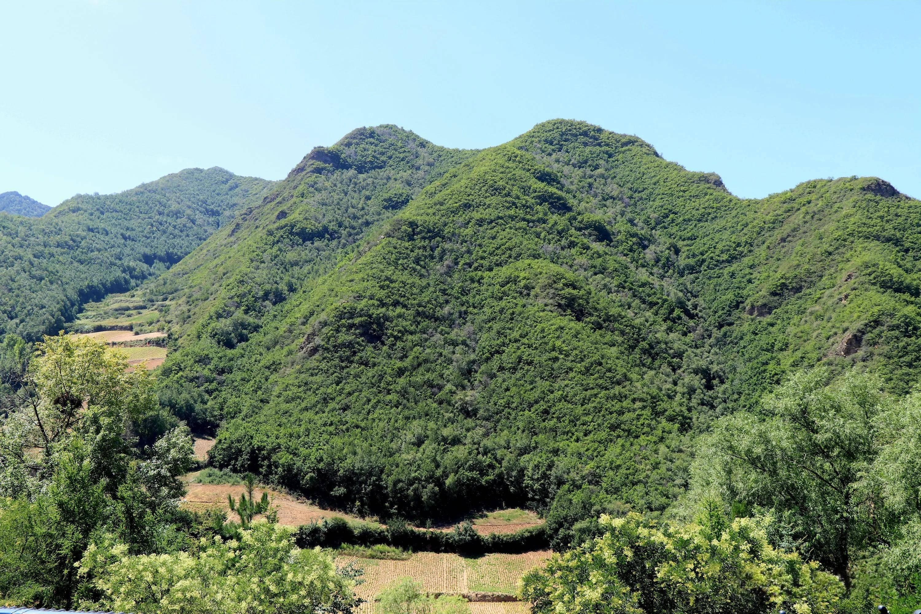 探秘“收取关山五十州”：历史、地理与文化的交织