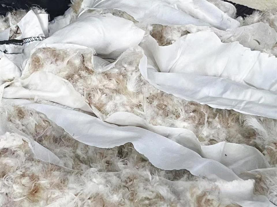 羽绒服翻新订单翻倍，这些事项要注意