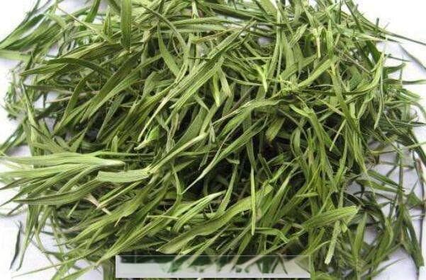 竹叶茶是寒性还是热性 竹叶茶的功效与禁忌