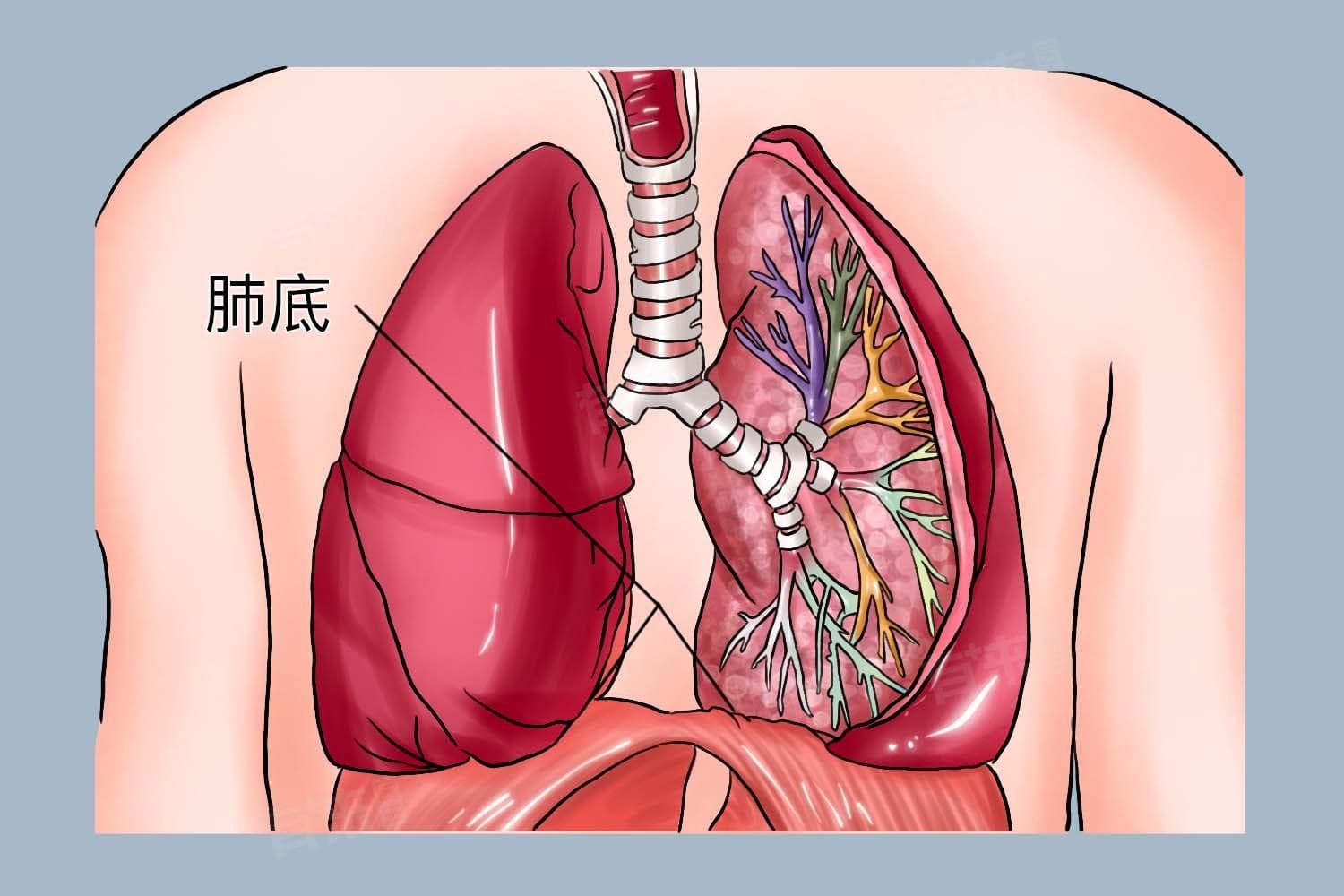双肺间质性改变严重吗