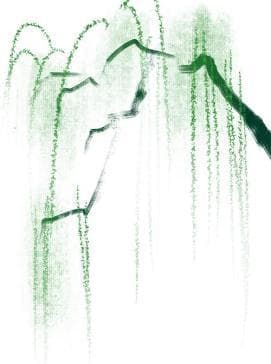 梅雨=“霉”雨？未来一个月，这些需要注意！