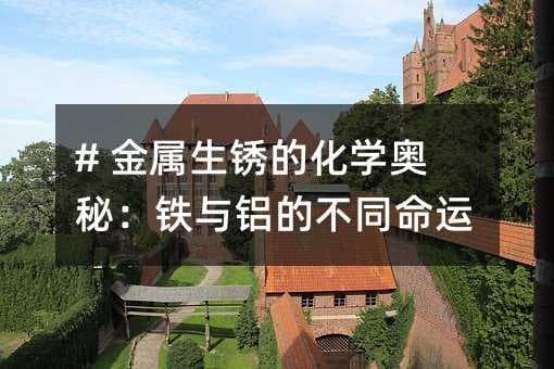 金属生锈的化学奥秘：铁与铝的不同命运