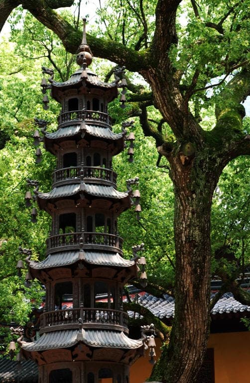 普陀山法雨寺：一座融合历史与文化的佛教圣地