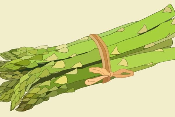 芦笋的功效与作用、禁忌和食用方法