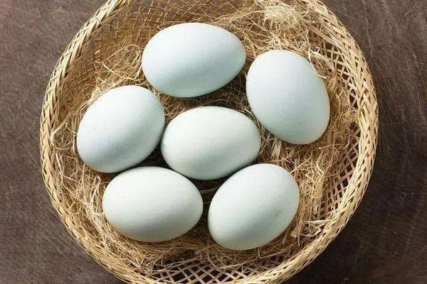 鸡蛋与鸭蛋营养有什么区别？
