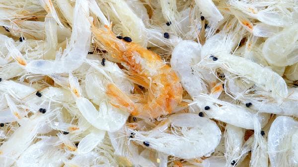 低碳水饮食指南：三类关键食物推荐