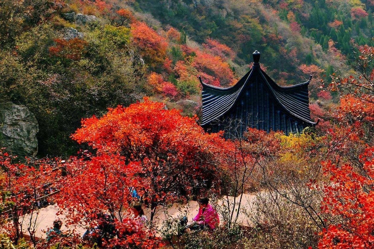 禹州旅游必去十大景点：钧瓷文化发源地的精华之旅