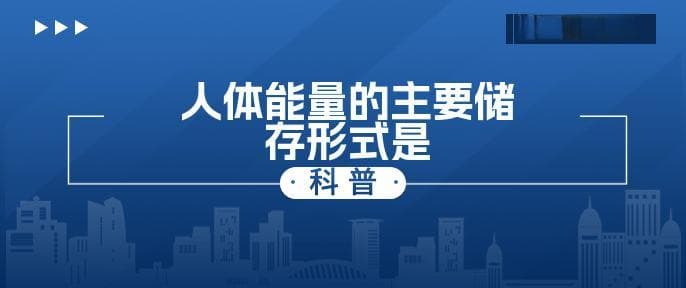 人体能量的主要储存形式是脂肪