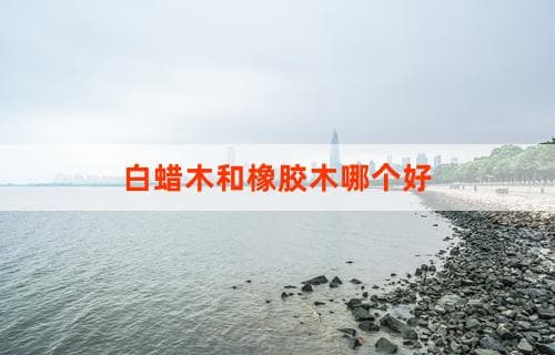 白蜡木和橡胶木哪个好：全面对比解析