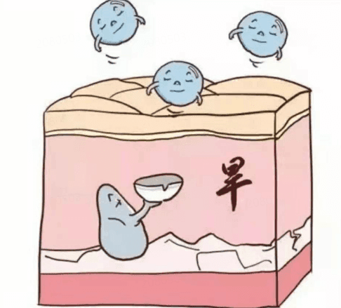 科学护肤，从了解皮肤保养原理开始