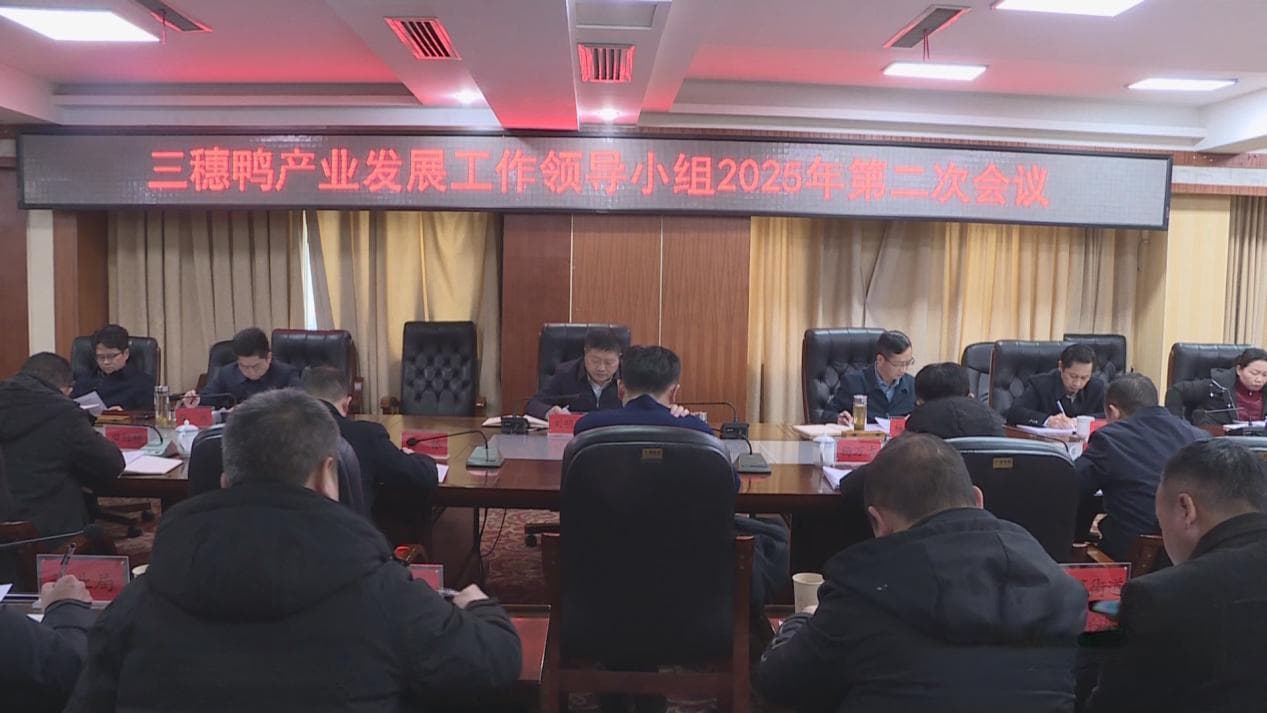 一只鸭链出14亿大产业，揭秘三穗鸭的产业现代化进阶路