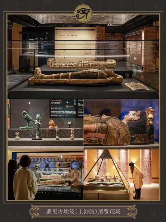 探索古埃及之谜：2025年北京798艺术区沉浸式文化体验大展