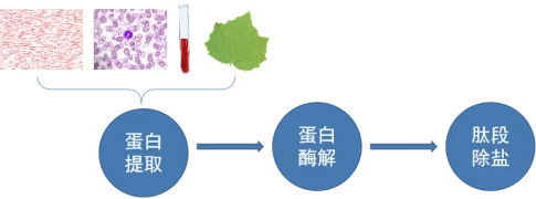 蛋白/多肽质谱测序成功的关键：从样本准备到数据解析的全方位考量