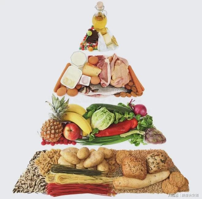 低脂饮食：健康与美味的平衡之道，你真的了解吗？