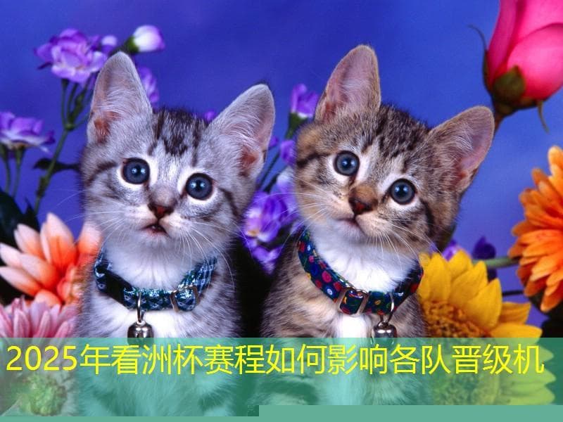 2025年亚洲杯赛程如何影响各队晋级机会