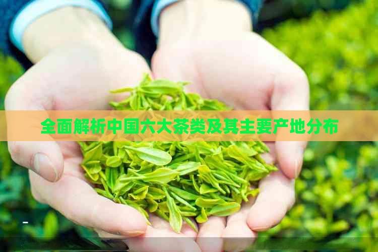 全面解析中国六大茶类及其主要产地分布