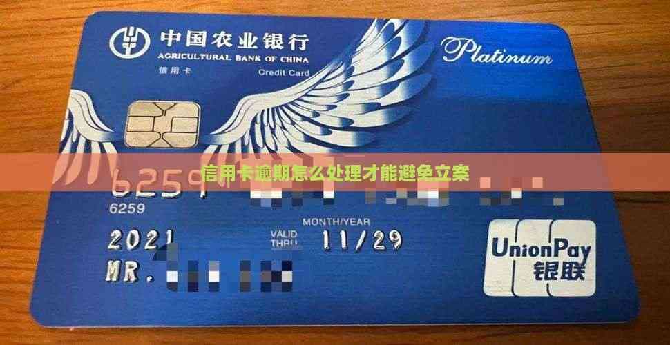 信用卡逾期怎么办？六大应对策略帮你避免被起诉