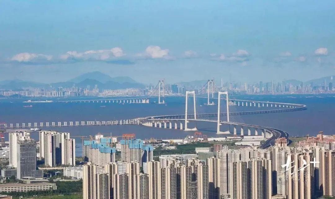 湾区评论｜深中通道开通后机会遍地