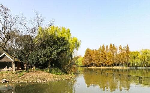 扬州市茱萸湾风景区：集自然景观与文化活动于一体的4A级景区
