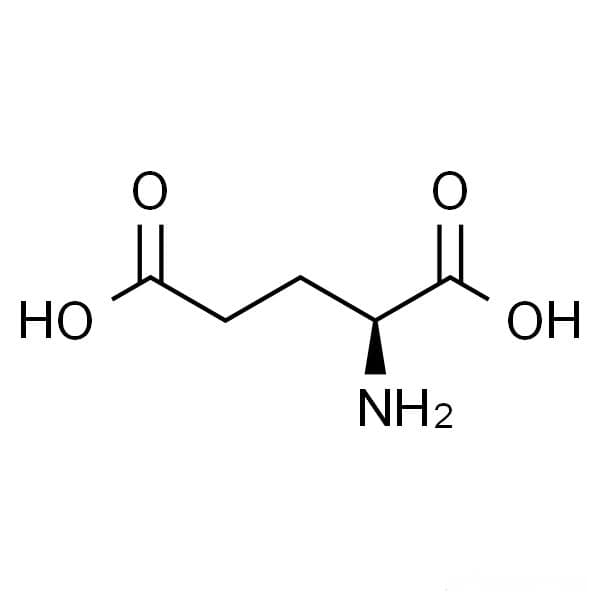 谷氨酸：在大脑营养与全身解毒中的关键作用