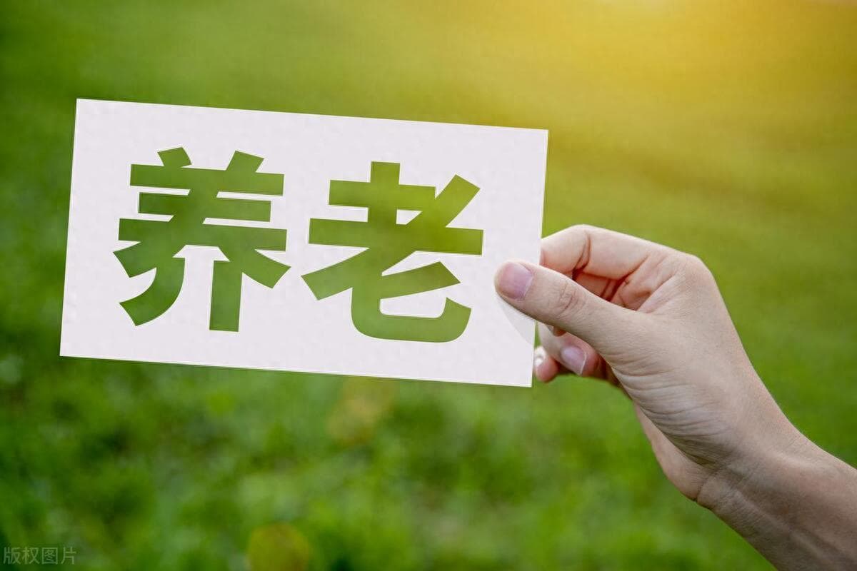 城乡居民养老保险缴费记录查询攻略：四种便捷方式全解析