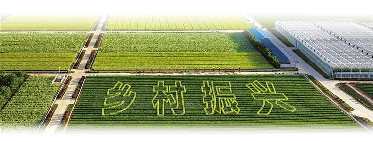 双向奔赴——河南济源城乡融合和乡村振兴奋勇争先