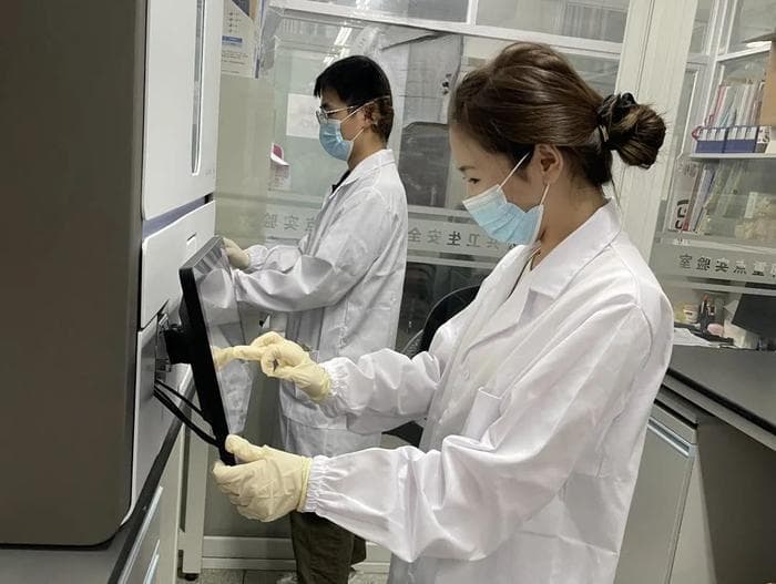 复旦团队揭示哺乳动物病毒跨物种传播规律
